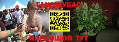 гидра Гусиноозёрск