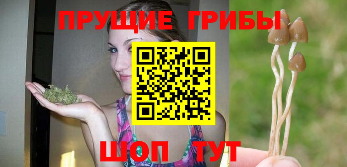 Галлюциногенные грибы MAGIC MUSHROOMS  Псилоцибиновые грибы Psilocybe  Вход с VPN  Нововоронеж 